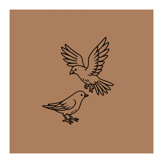 Piegon Pre-marked Design for painting