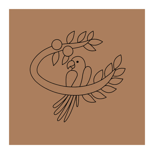 Parrot Birds Pre-marked Design for painting