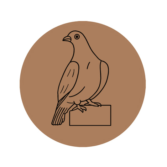 Piegon Pre-marked Design for painting