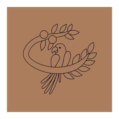 Parrot Birds Pre-marked Design for painting
